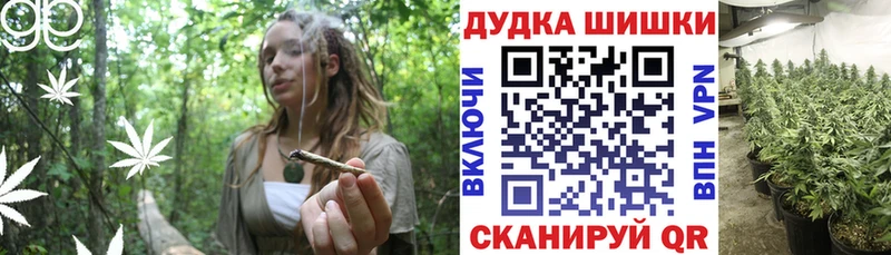 Бошки Шишки сатива  Уяр 